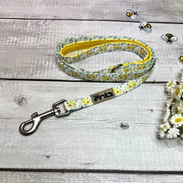 Yellow Spring Dog Lead
