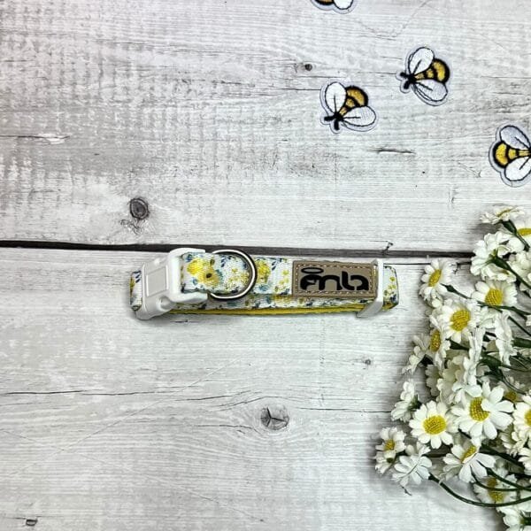 Yellow Spring XS Collar