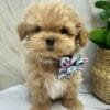 Spring Summer Cute Floral Puppy Bow