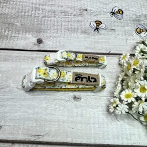 Yellow Spring Dog Collar